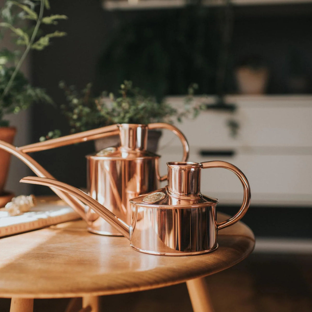 Indoor Watering Can