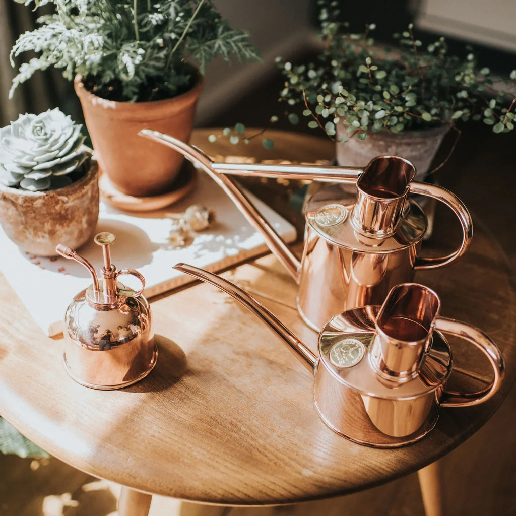 Indoor Watering Can