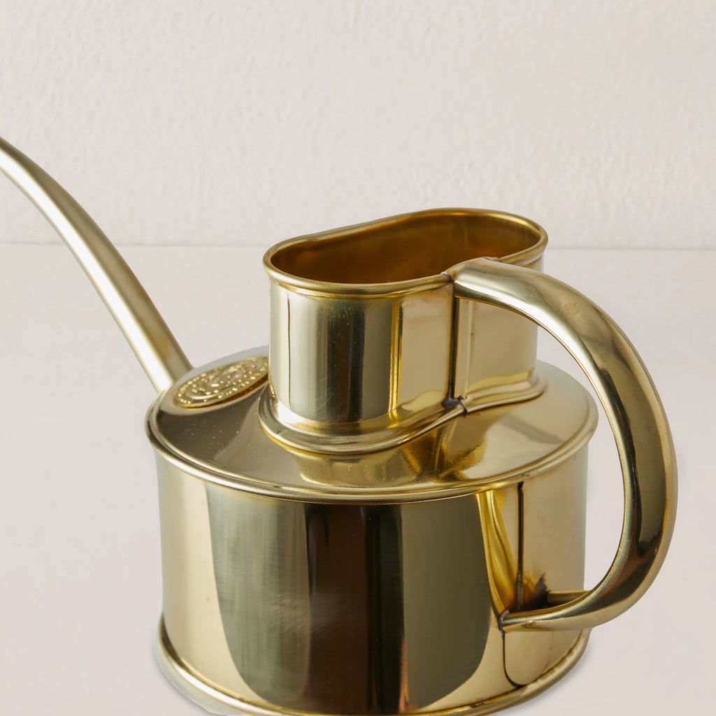 Indoor Watering Can