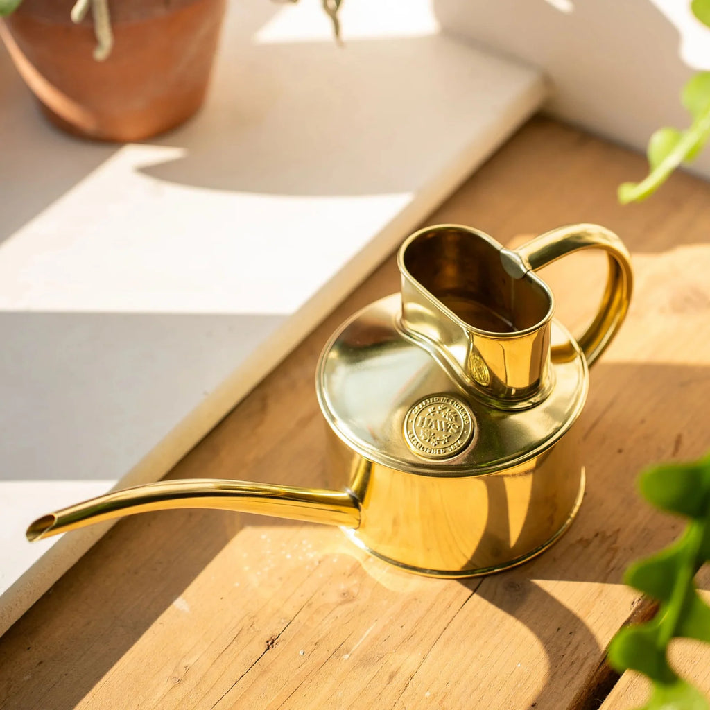 Indoor Watering Can