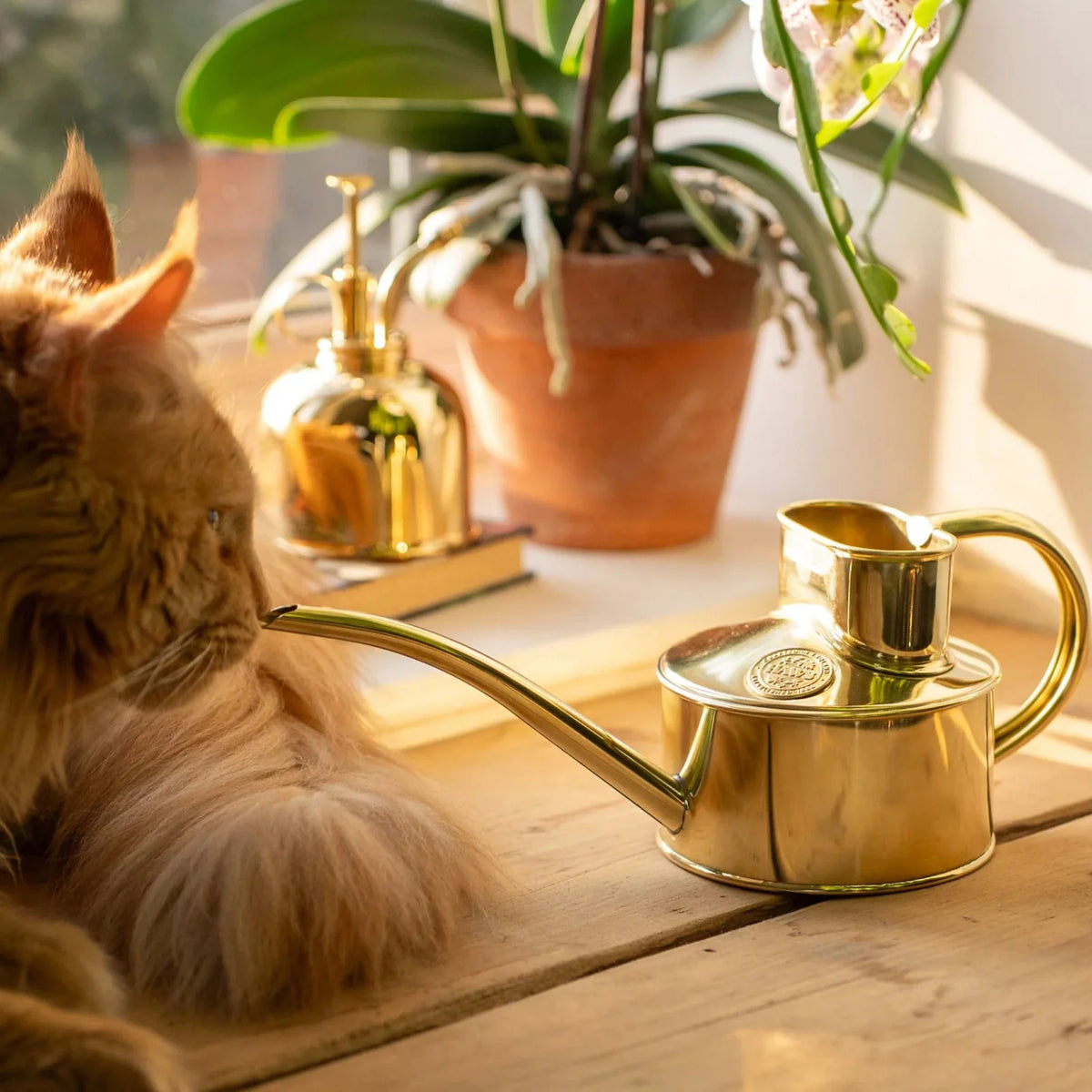 Indoor Watering Can