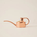 Indoor Watering Can