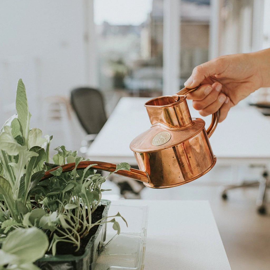Indoor Watering Can