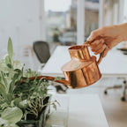 Indoor Watering Can