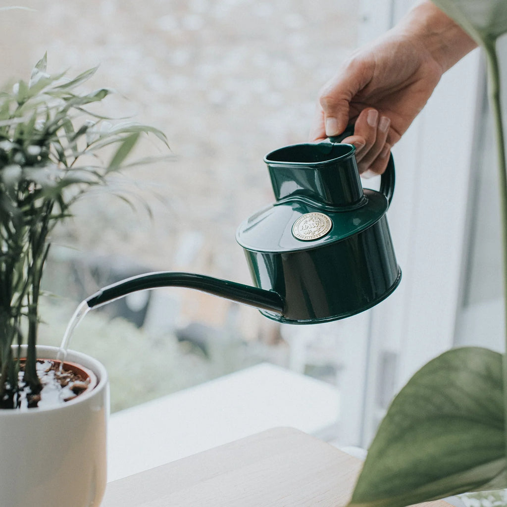 Indoor Watering Can