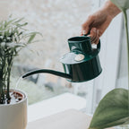 Indoor Watering Can
