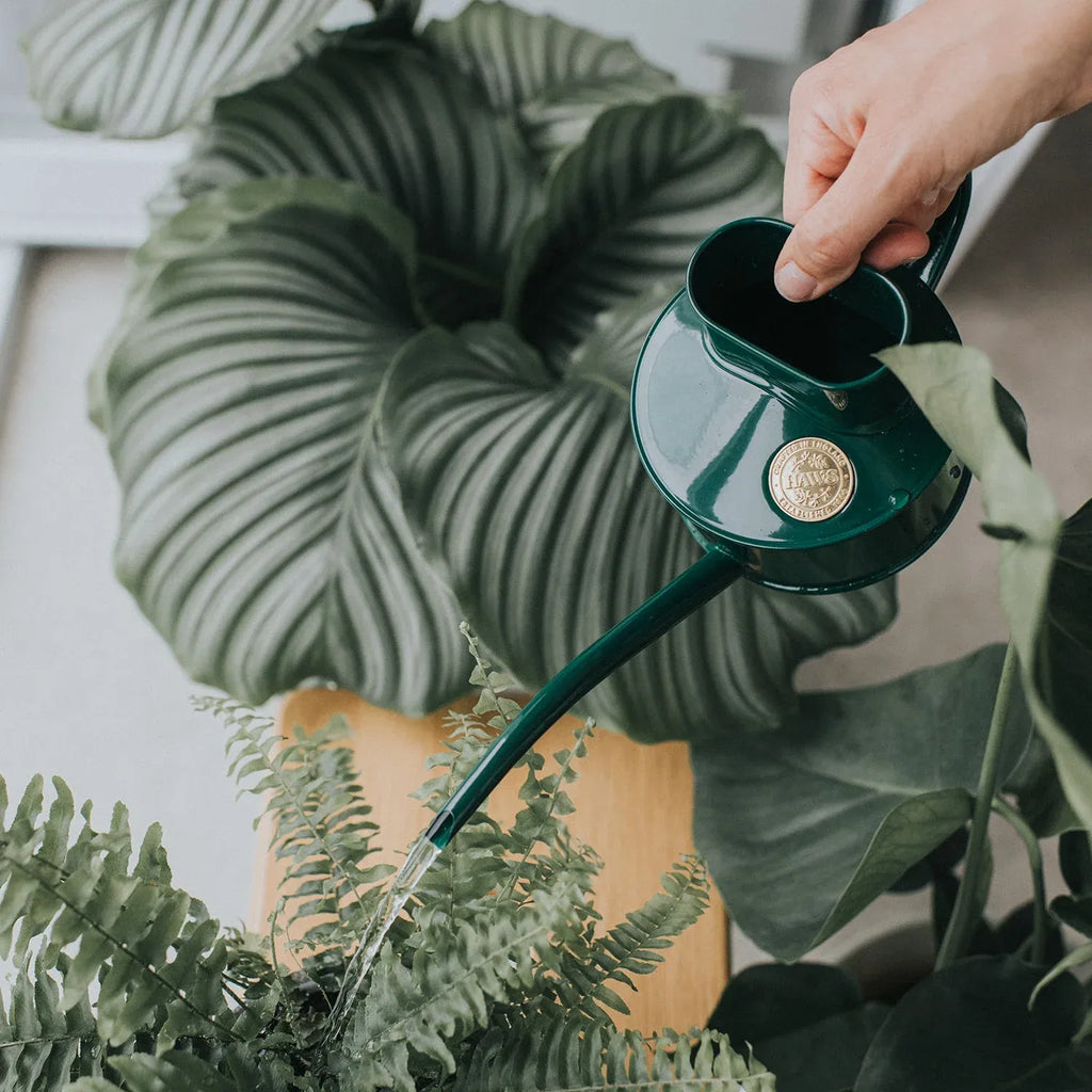 Indoor Watering Can