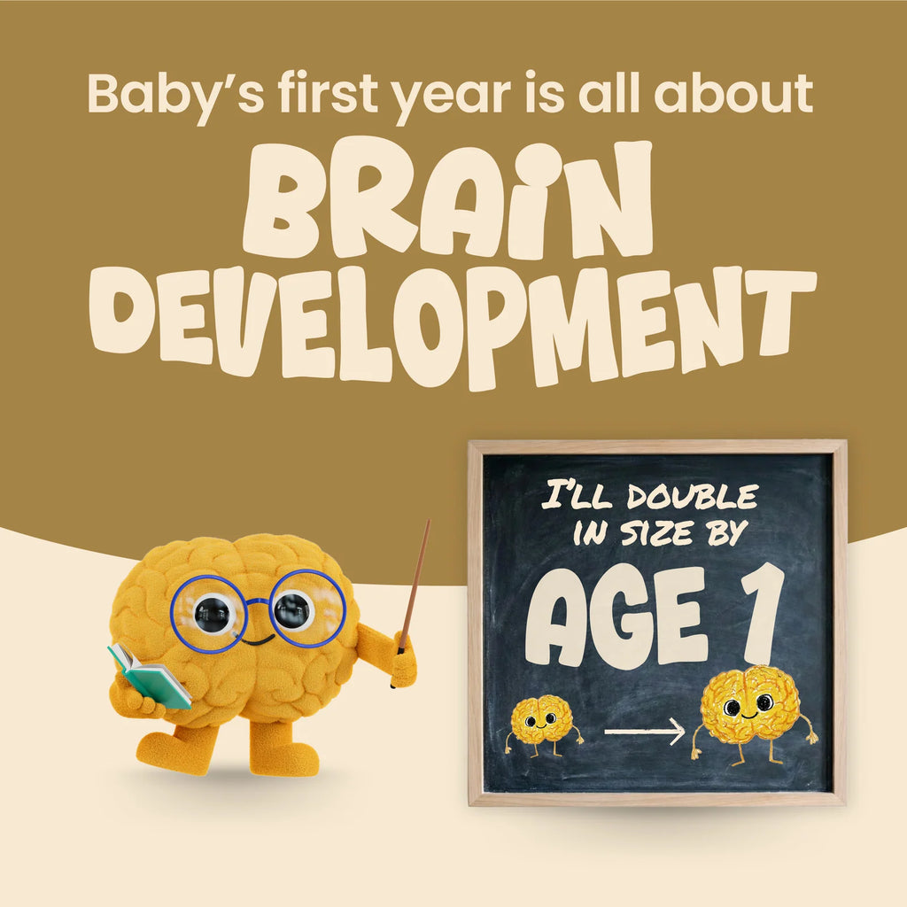 Infant Formula