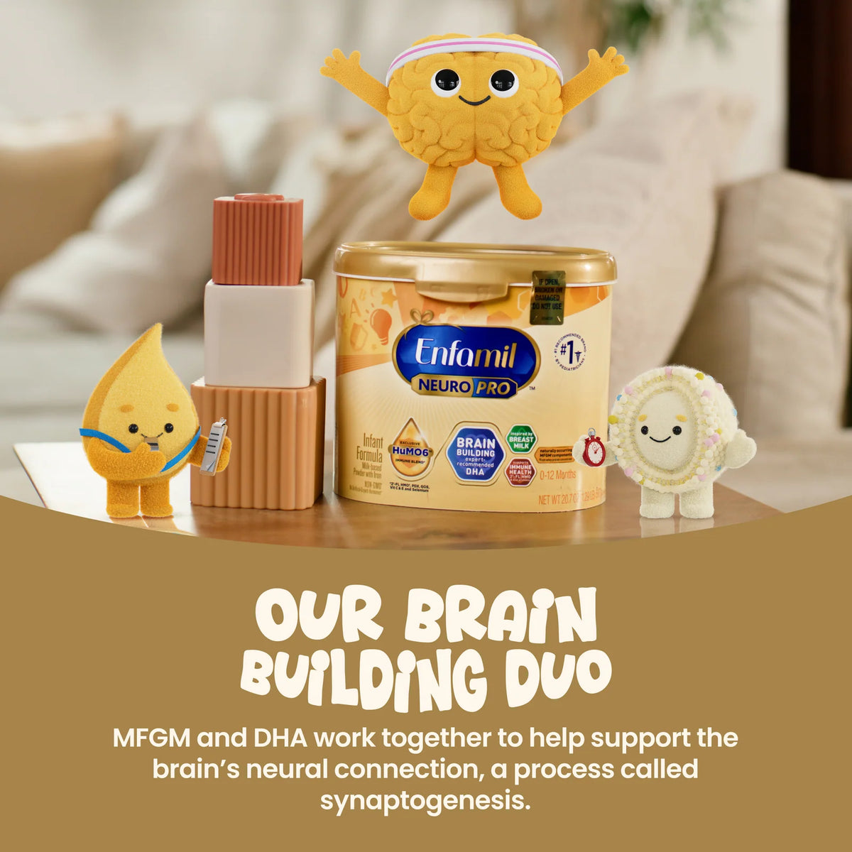 Infant Formula