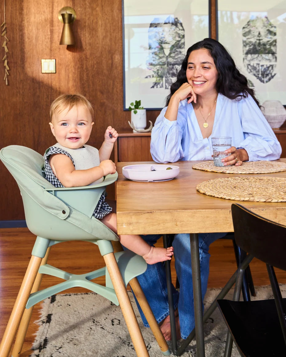 Infant High Chair Support Insert