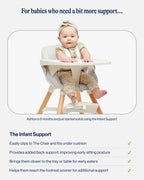 Infant High Chair Support Insert