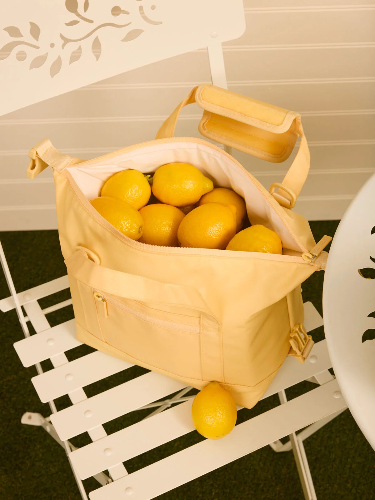 Insulated Bag