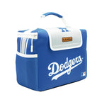 Insulated Cooler Lunch Box with Leak-Proof Liner, 12-Pack Capacity and Magnetic Flap Closure