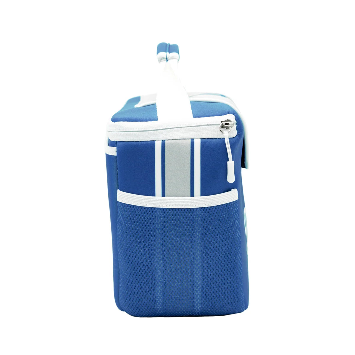 Insulated Cooler Lunch Box with Leak-Proof Liner, 12-Pack Capacity and Magnetic Flap Closure