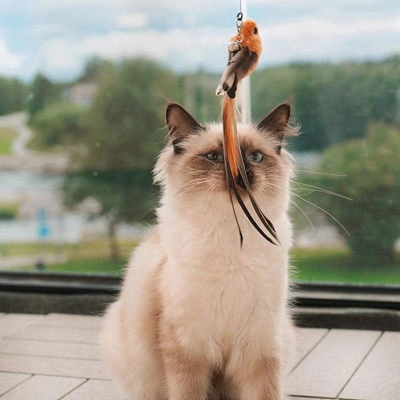 Interactive Bird Simulation Cat Toy with Suction Cup Base, Bells and Replaceable Birds for Indoor Enrichment
