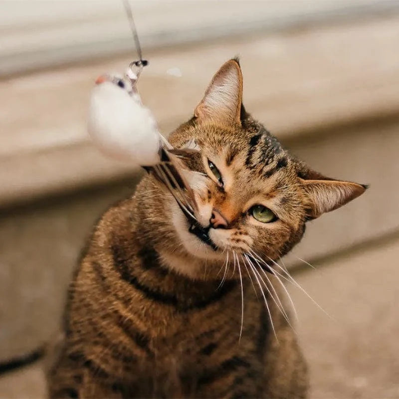 Interactive Bird Simulation Cat Toy with Suction Cup Base, Bells and Replaceable Birds for Indoor Enrichment
