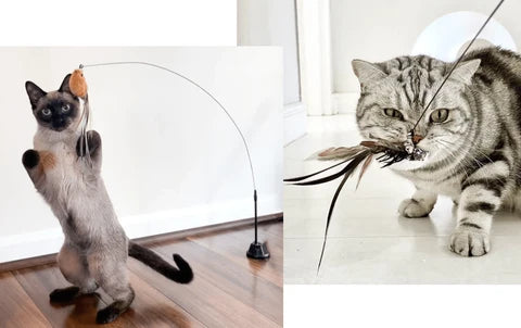 Interactive Bird Simulation Cat Toy with Suction Cup Base, Bells and Replaceable Birds for Indoor Enrichment