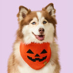 Jack-o'-Lantern Knit Dog Bandana with Adjustable Snap Closure for Small, Medium, and Large Dogs