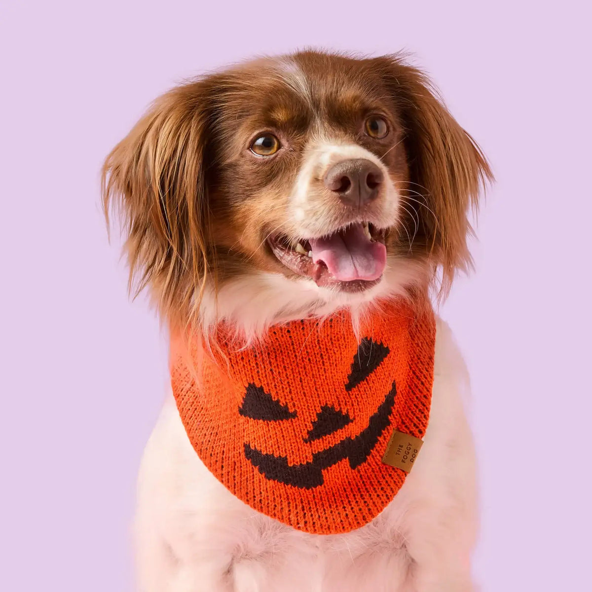 Jack-o'-Lantern Knit Dog Bandana with Adjustable Snap Closure for Small, Medium, and Large Dogs