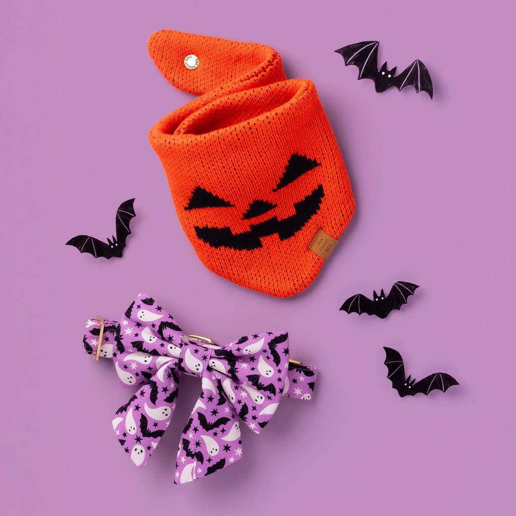 Jack-o'-Lantern Knit Dog Bandana with Adjustable Snap Closure for Small, Medium, and Large Dogs