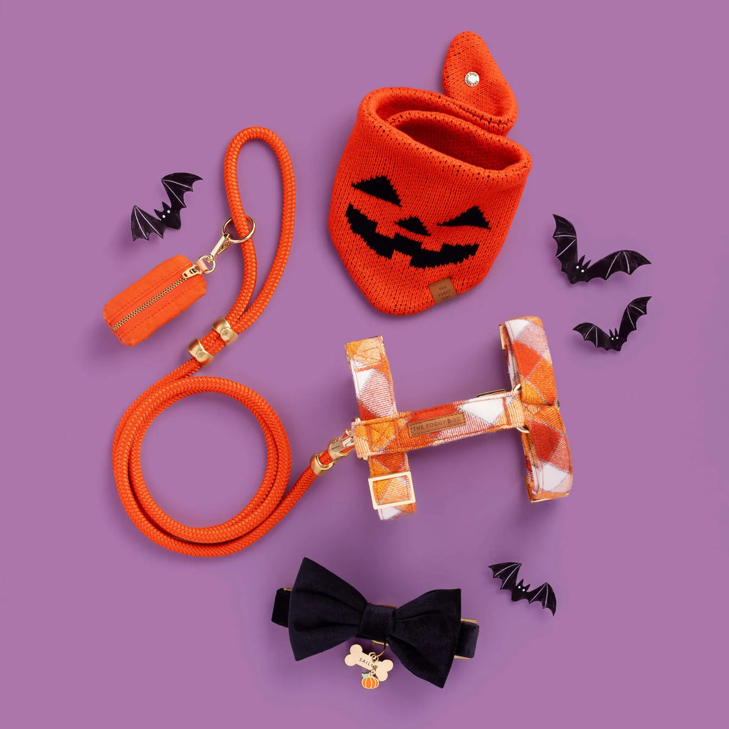 Jack-o'-Lantern Knit Dog Bandana with Adjustable Snap Closure for Small, Medium, and Large Dogs