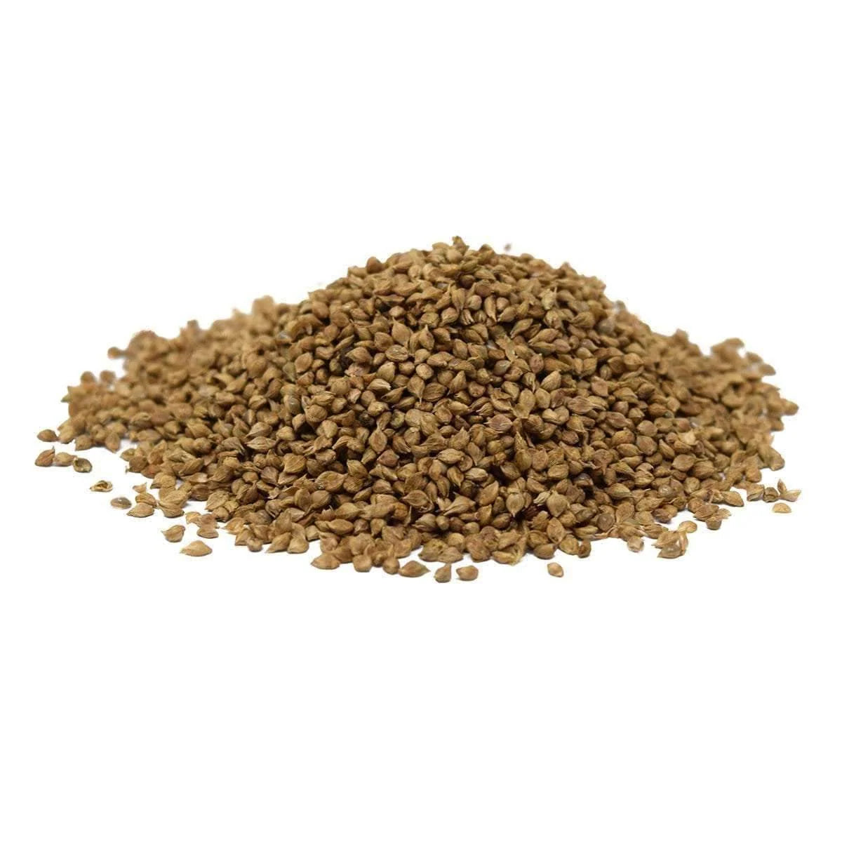 Japanese Millet Seed