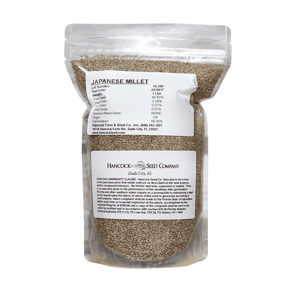 Japanese Millet Seed