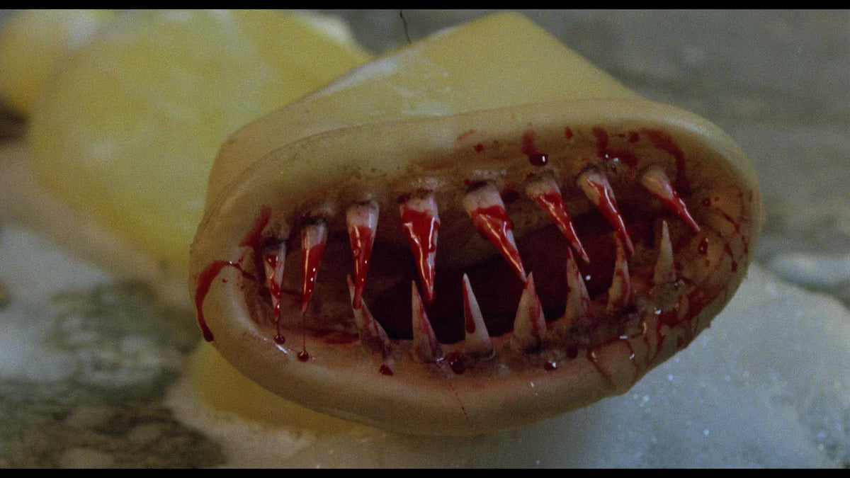 Killer Condom 3-Disc 4K UHD and Blu-ray Horror-Comedy Film Set