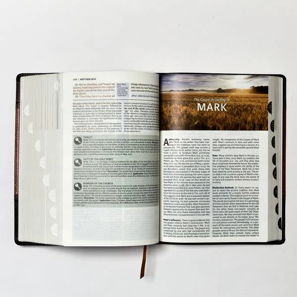 King James Study Bible in Full Color