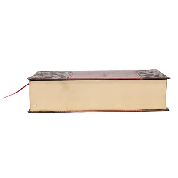 King James Study Bible in Full Color