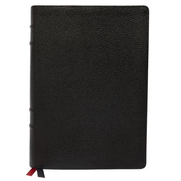 King James Study Bible in Full Color