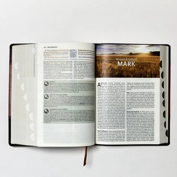 King James Study Bible in Full Color