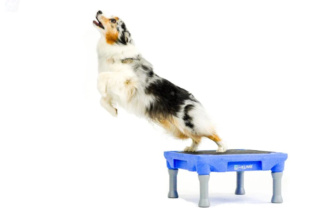 KLIMB Traction Mat for Dog Training Platforms, Custom-Fit 24 x 24 Inch Non-Slip Rubber Surface