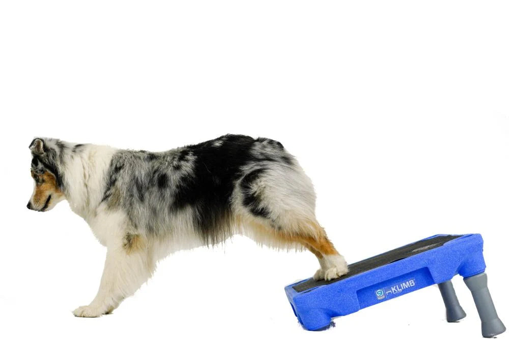 KLIMB Traction Mat for Dog Training Platforms, Custom-Fit 24 x 24 Inch Non-Slip Rubber Surface