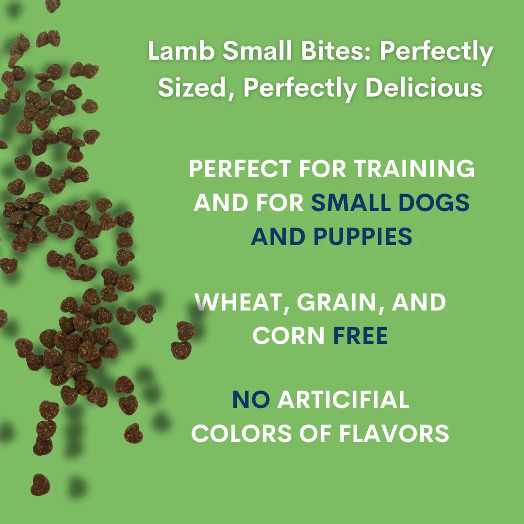 Lamb Dog Training Treats in Soft, Chewy Small Bites