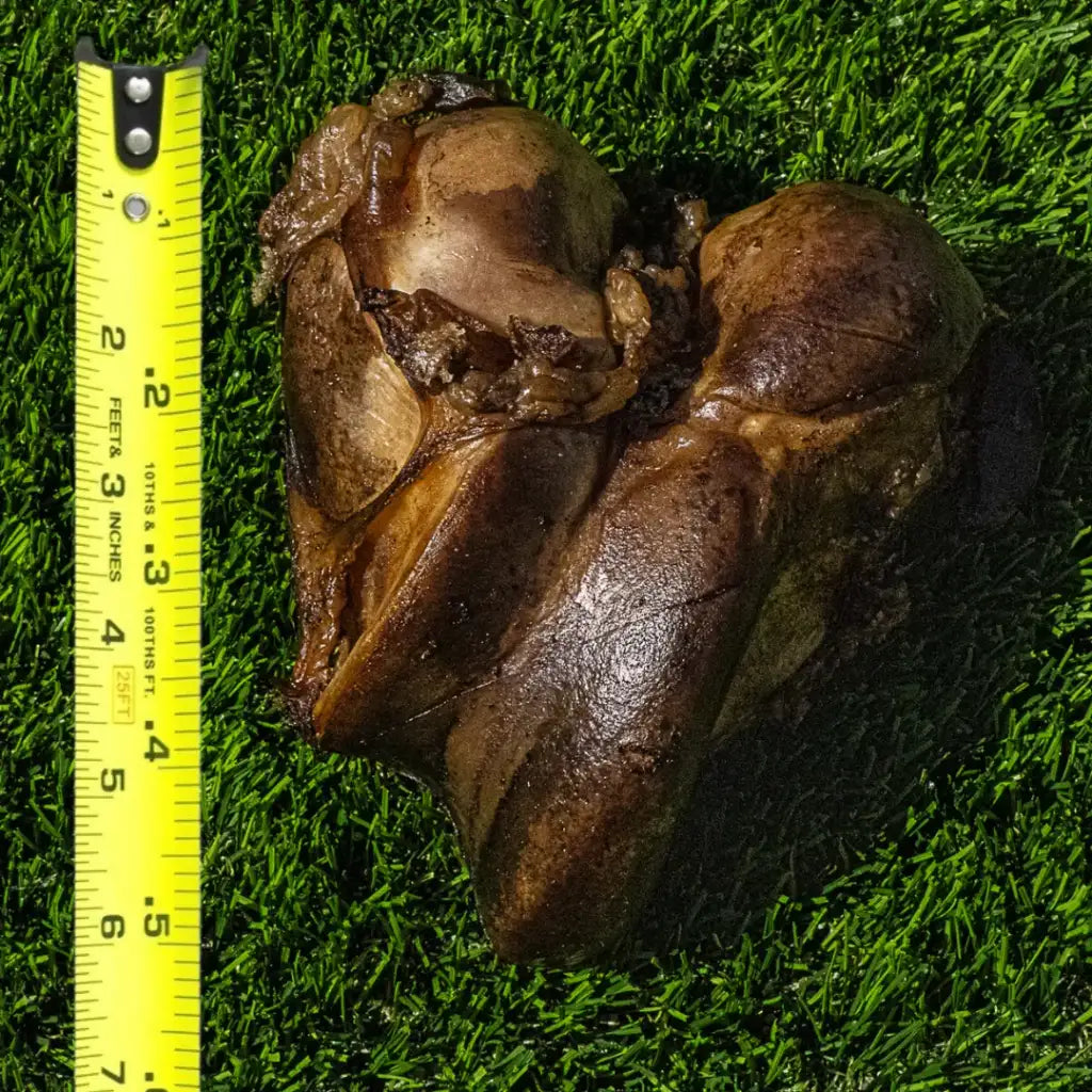 Large Beef Knuckle Dog Bones, Hickory Cold-Smoked Single-Ingredient Chews for Dogs Over 60 lbs