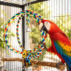 Large Bird Rope Swing