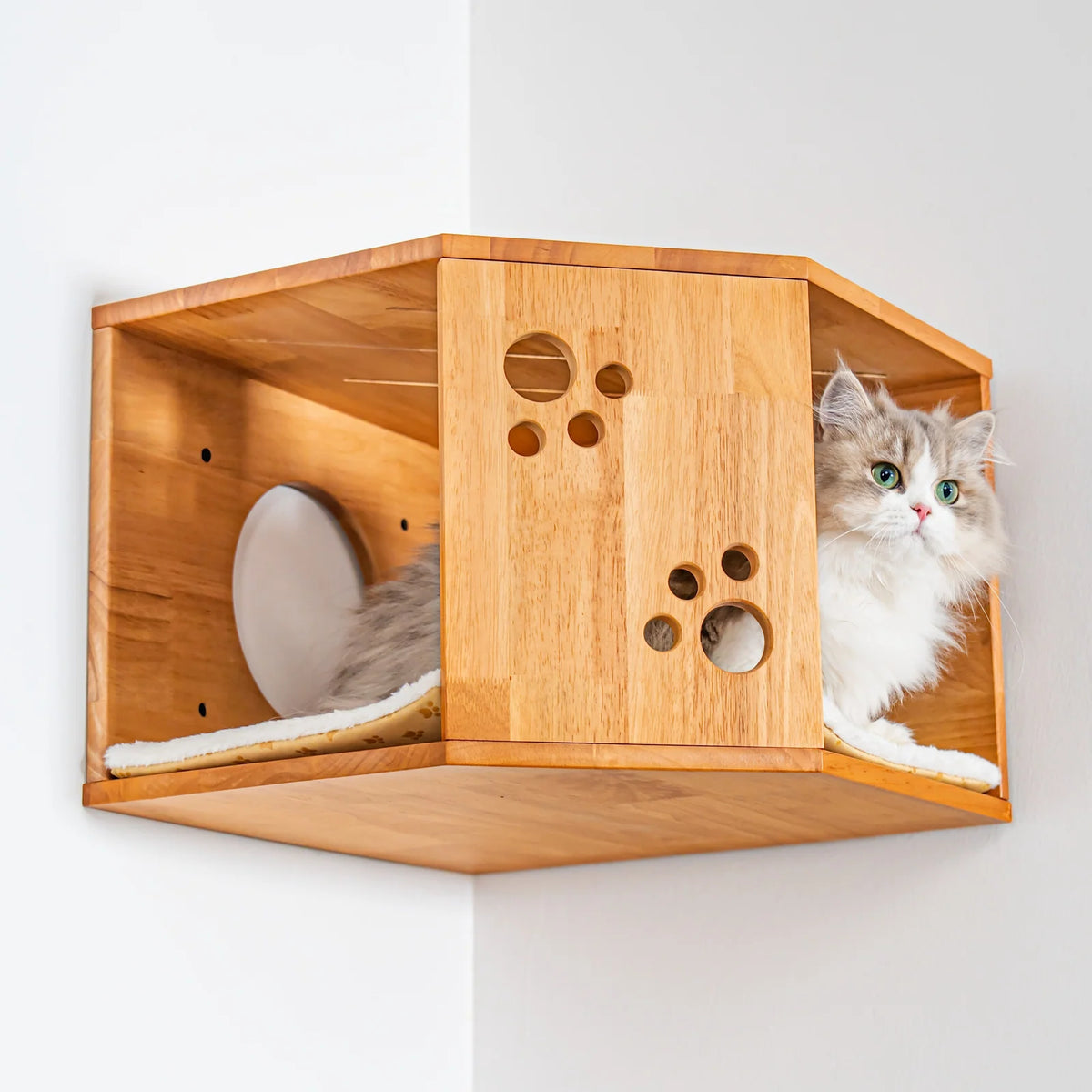 Large Corner Cat Wall House with Rubberwood Frame, Elevated Hideaway and Space-Saving Indoor Cat Furniture