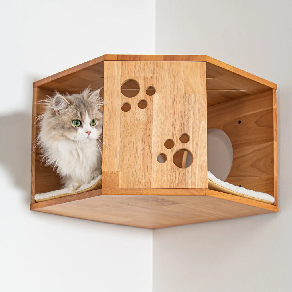Large Corner Cat Wall House with Rubberwood Frame, Elevated Hideaway and Space-Saving Indoor Cat Furniture