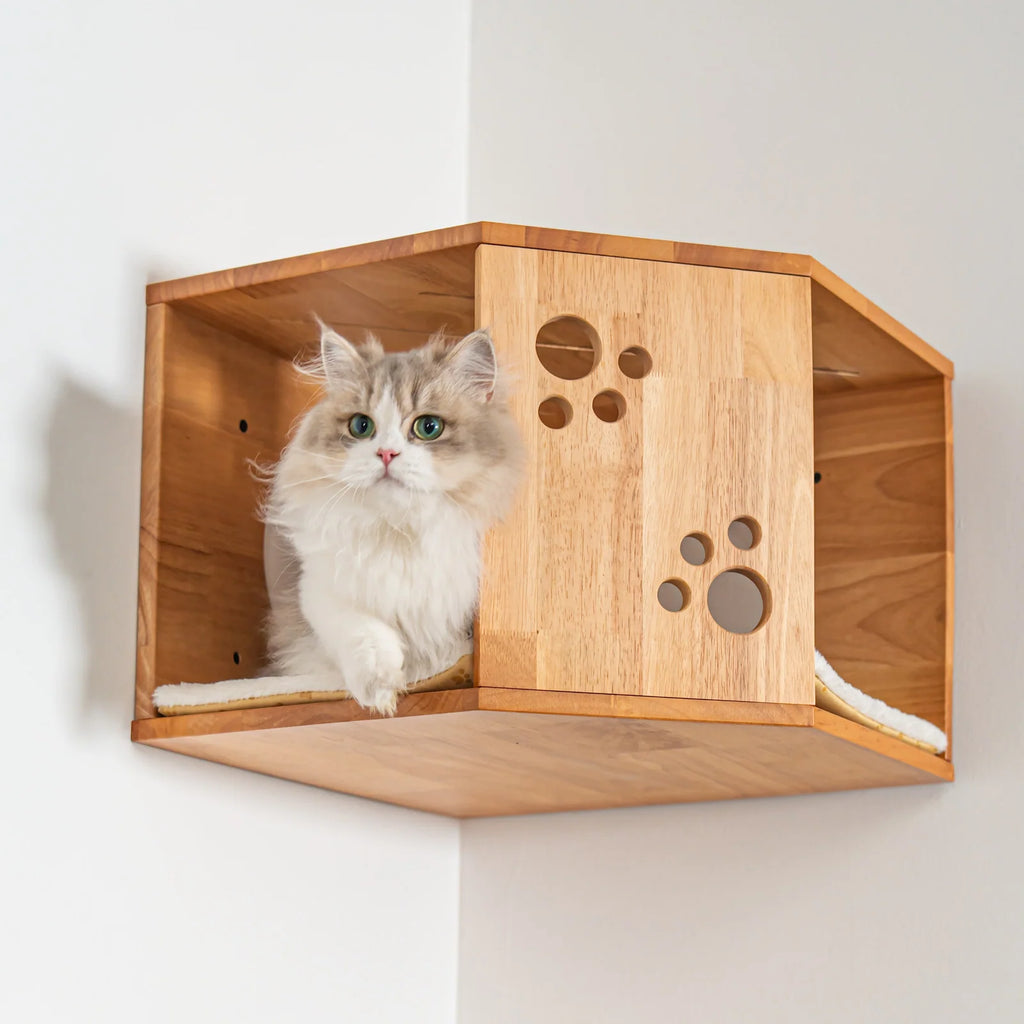 Large Corner Cat Wall House with Rubberwood Frame, Elevated Hideaway and Space-Saving Indoor Cat Furniture