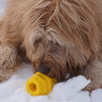 Large Dog Chew Toy in Bright Yellow
