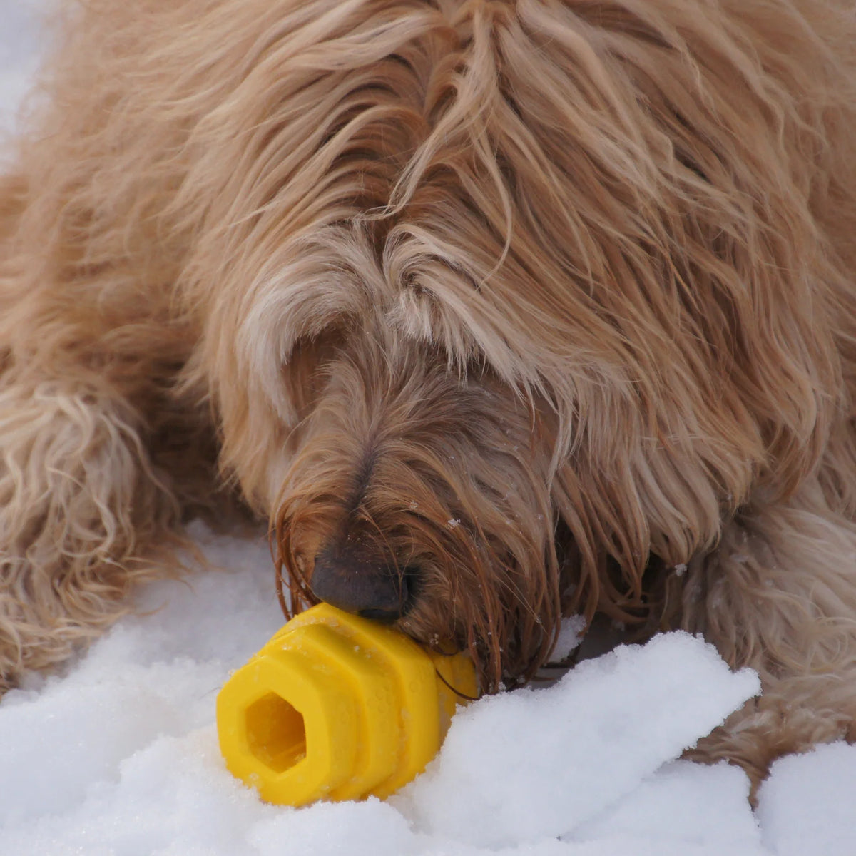 Large Dog Chew Toy in Bright Yellow