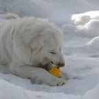 Large Dog Chew Toy in Bright Yellow