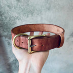 Large Dog Collar in — Hermann Oak - Old world Tan / 42cm / Hermann Oak - Old world Tan / 47cm / Hermann Oak - Old world Tan /