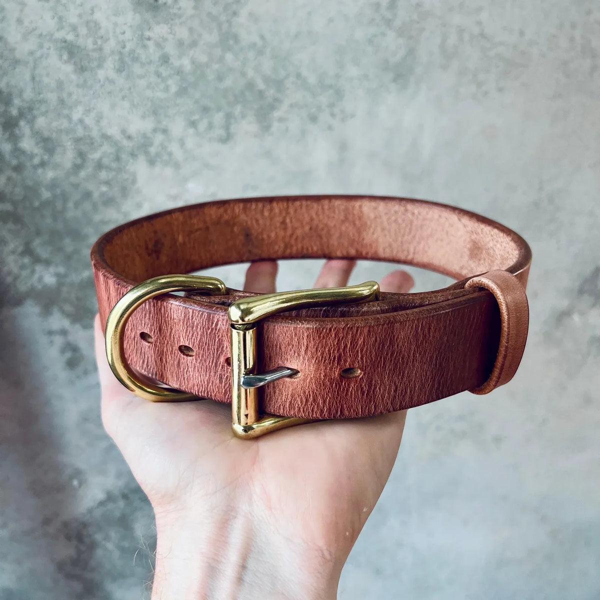 Large Dog Collar in — Hermann Oak - Old world Tan / 42cm / Hermann Oak - Old world Tan / 47cm / Hermann Oak - Old world Tan /