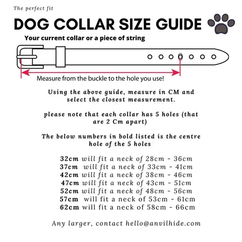 Large Dog Collar in 38mm Weather Resistant Harness Leather with Brass Hardware and Multiple Neck Sizes
