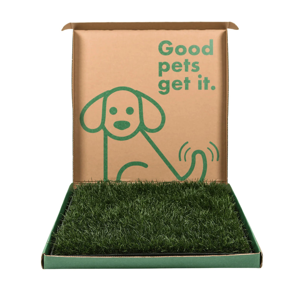 Large Dog Grass Pad