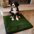 Large Dog Grass Pad