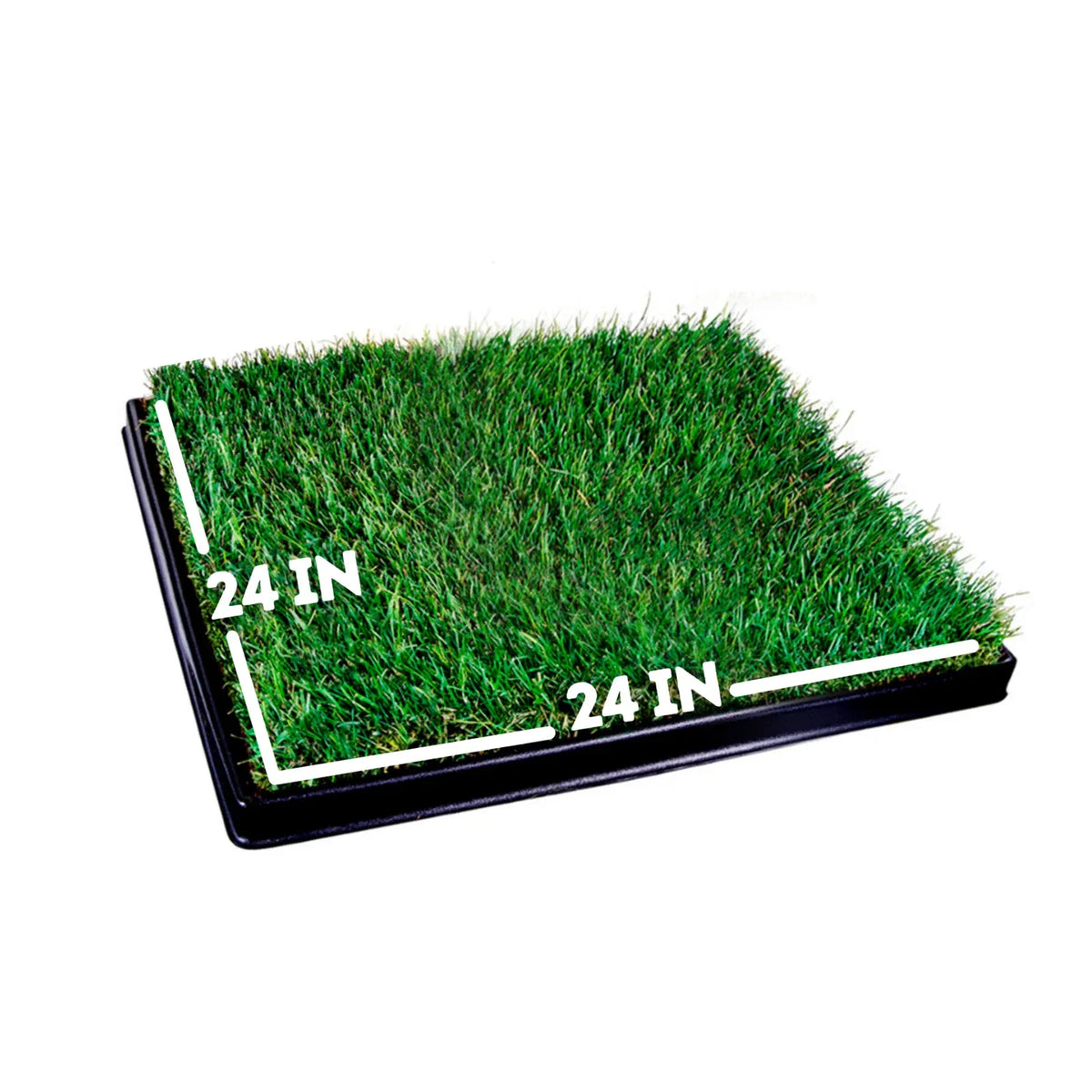 Large Dog Grass Pad