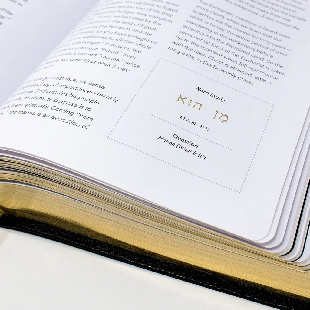 Large-Font Catholic Bible Volume III: The Pentateuch